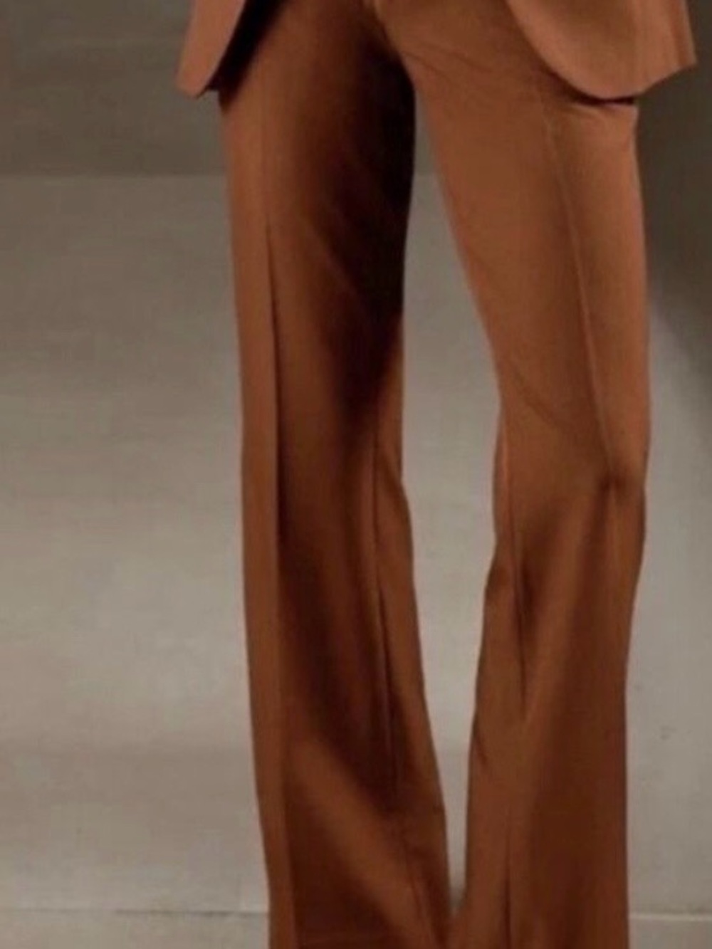 Banana Republic Women's Wide-Leg Trousers in Rust Brown